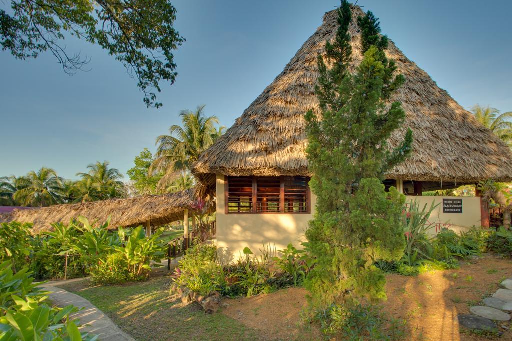 Windy Hill Resort San Ignacio Exterior photo